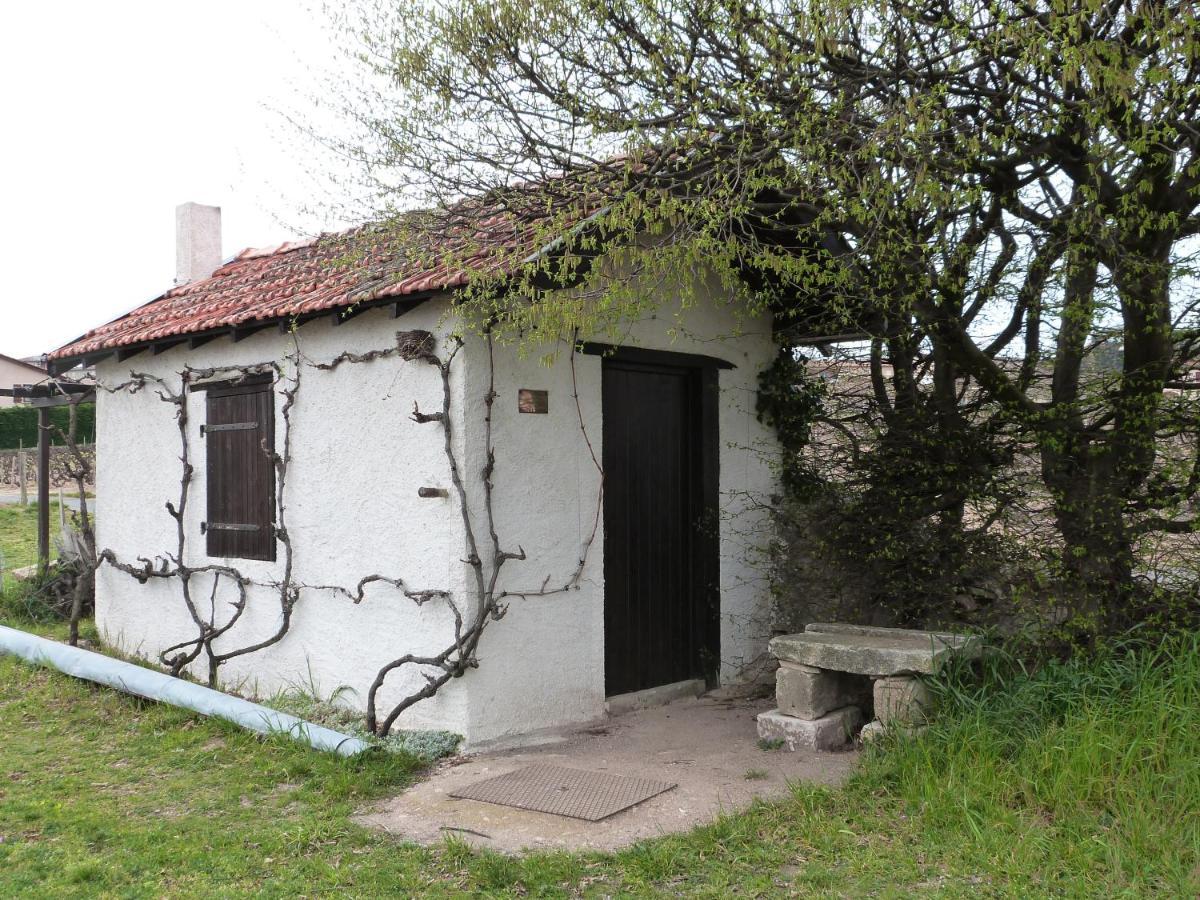 Logis Hotel Des Grands Vins Fleurie Exterior photo